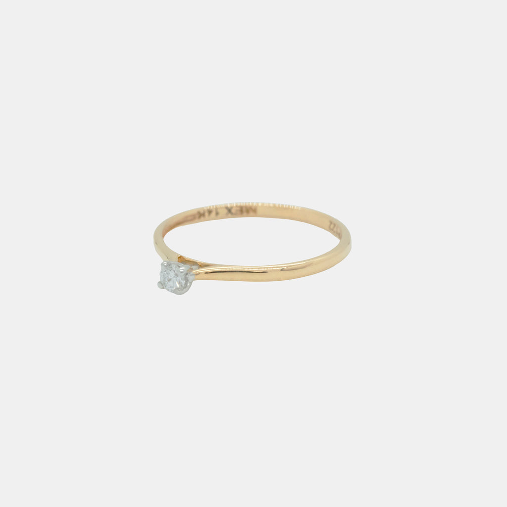Isolde (Oro Solido) 14k