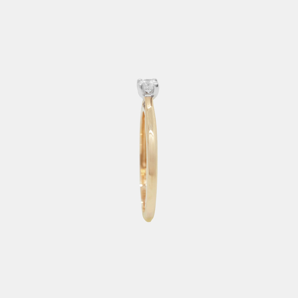 Isolde (Oro Solido) 14k