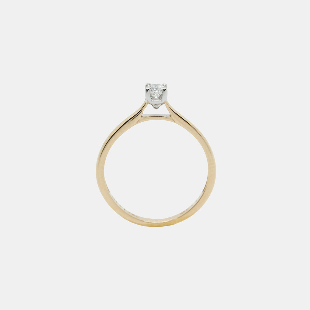 Isolde (Oro Solido) 14k