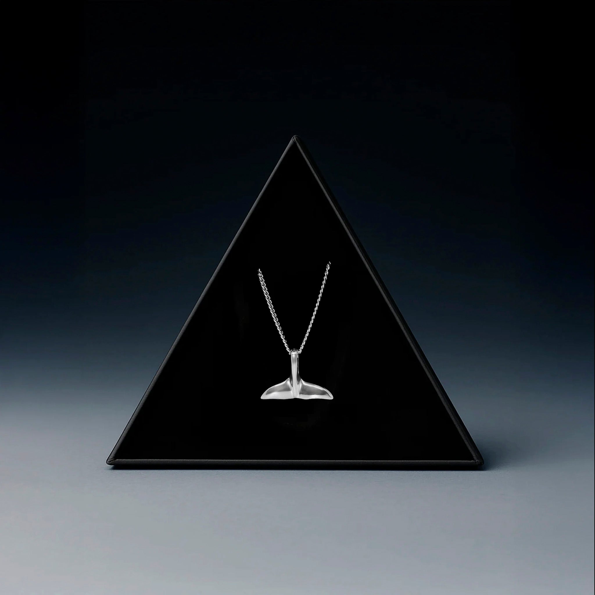 Atlántica 2mm (Plata ) Collar