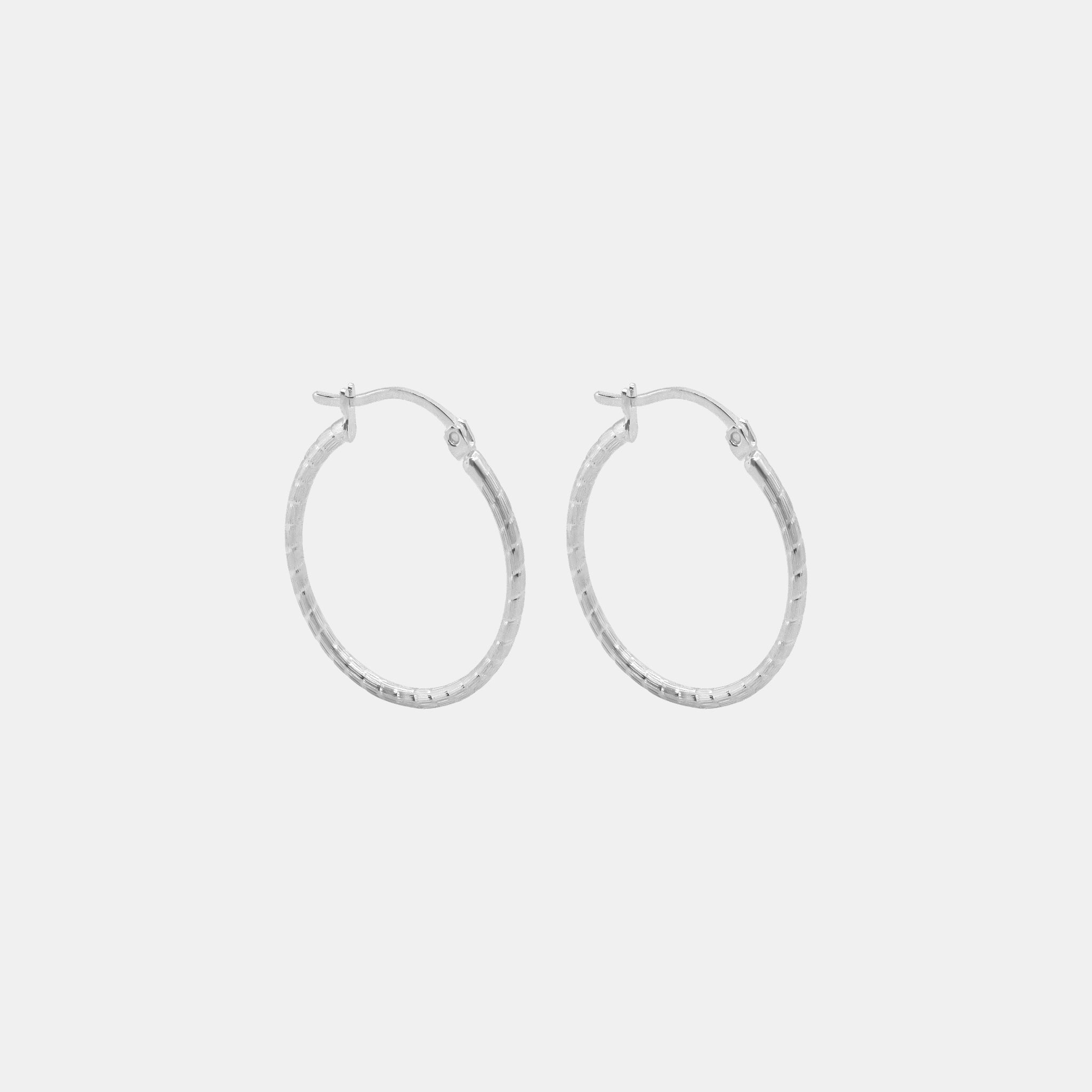 Valence (Plata) Arracadas